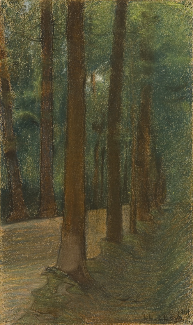 Il bosco dei ricordi by Sam Lloyd Il bosco dei ricordi by Sam Lloyd